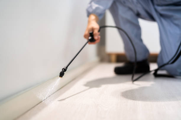 Licensed Pest Control service in Portales, NM - Show Me Pest Control