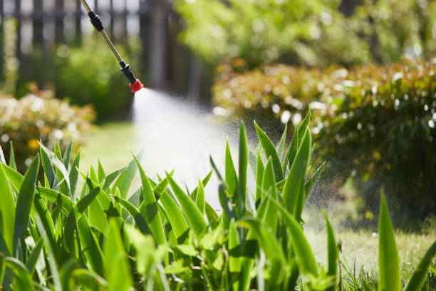 24/7 Emergency Mosquito Control experts in Portales, NM
